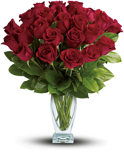 Rose Classique - Dozen Red Roses